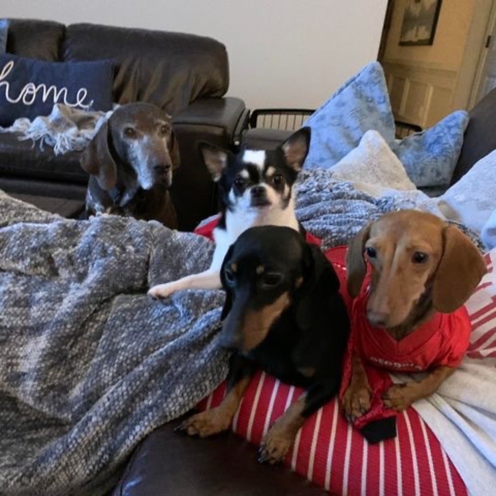 Meet your Posher, Alison